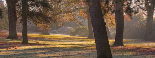 ip攻击器网页版ddos